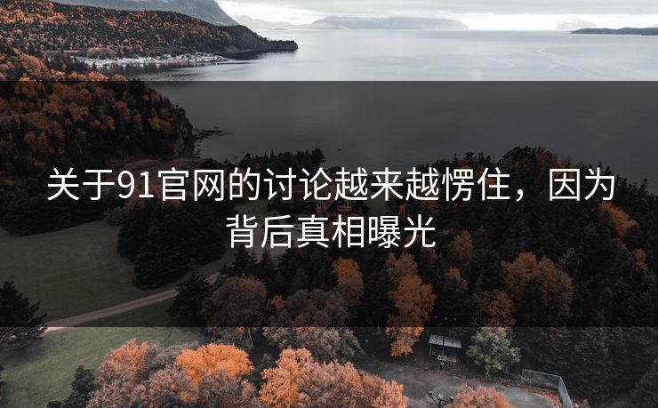 关于91官网的讨论越来越愣住，因为背后真相曝光