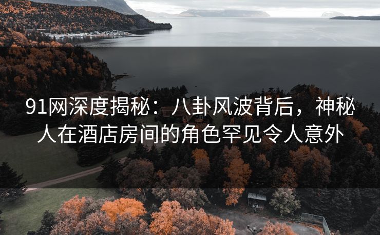 91网深度揭秘：八卦风波背后，神秘人在酒店房间的角色罕见令人意外