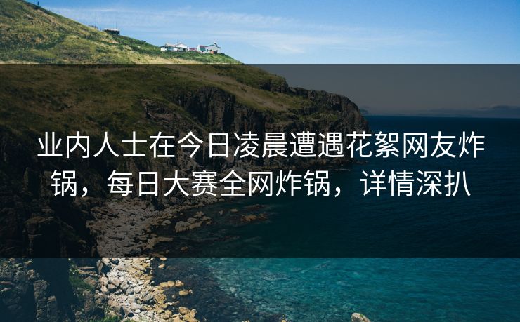 业内人士在今日凌晨遭遇花絮网友炸锅，每日大赛全网炸锅，详情深扒