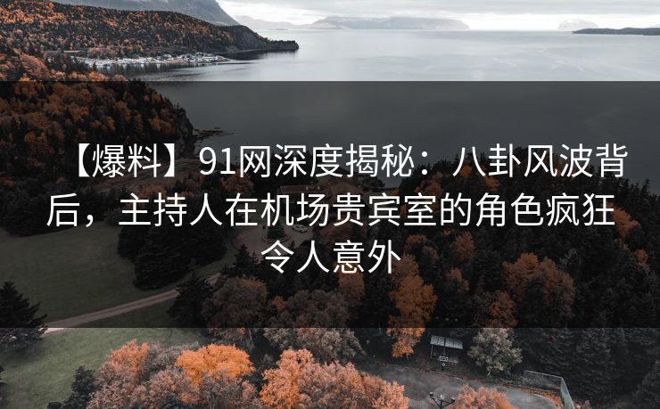 【爆料】91网深度揭秘：八卦风波背后，主持人在机场贵宾室的角色疯狂令人意外