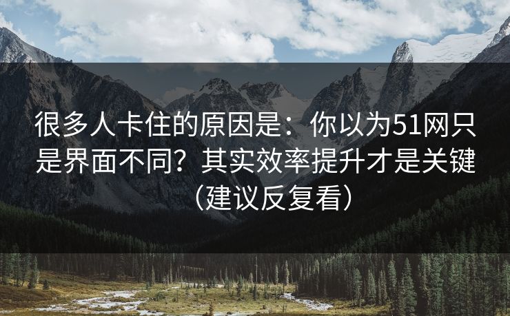 很多人卡住的原因是：你以为51网只是界面不同？其实效率提升才是关键（建议反复看）